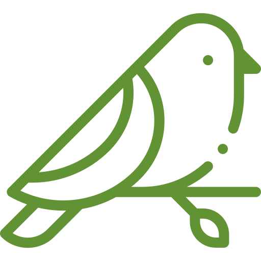 pajaro